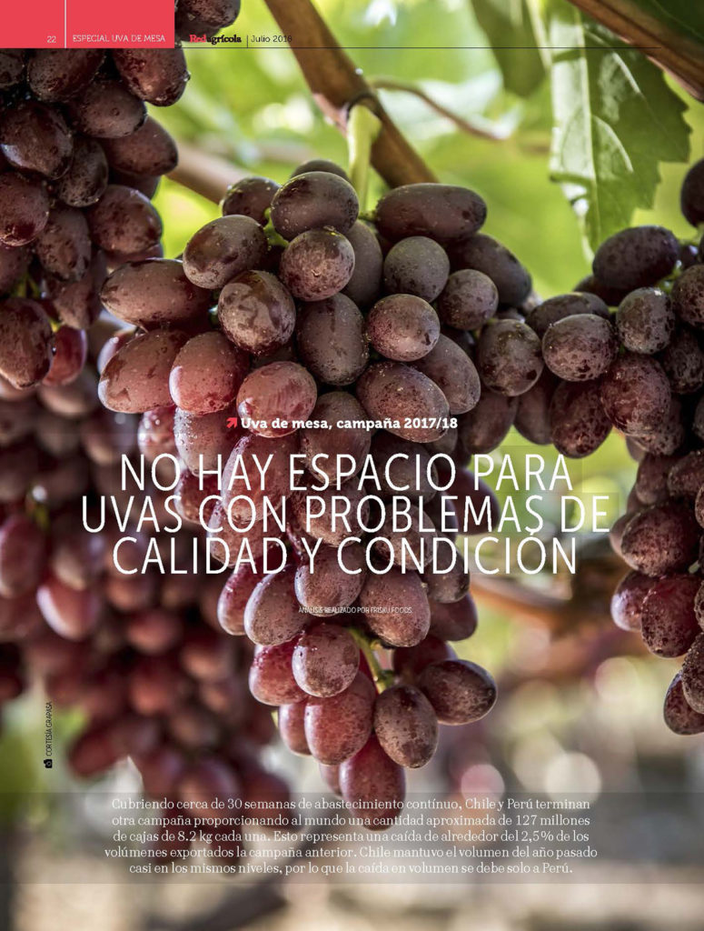 “Grapes: There is no space for grapes with problems of quality and condition”